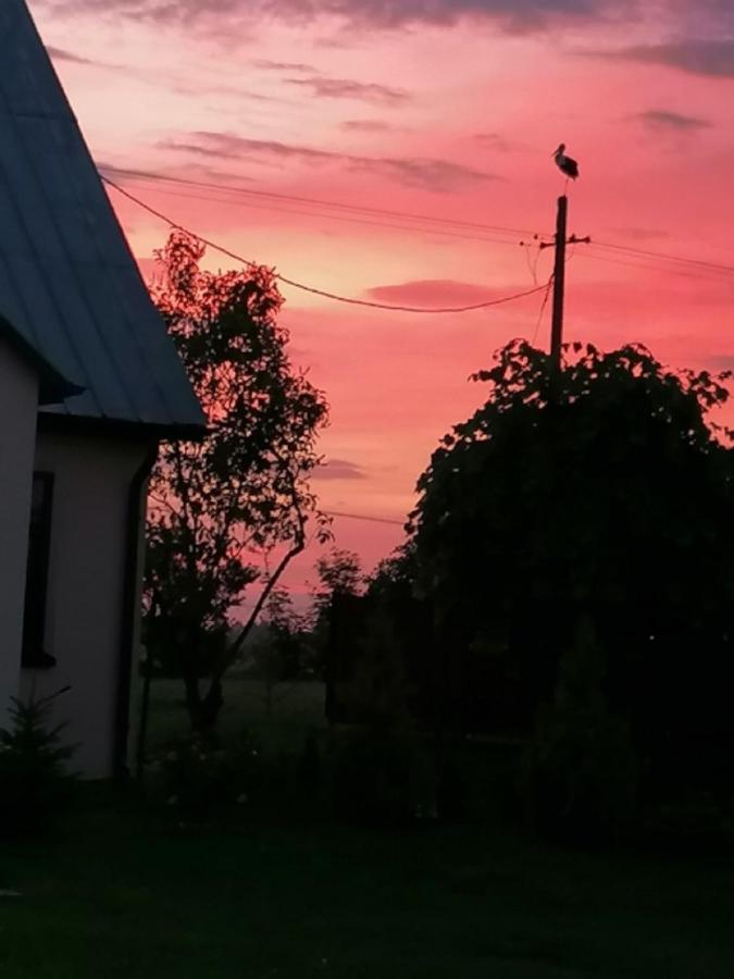 Dom I Pokoje Goscinne Zaruby セイニ エクステリア 写真